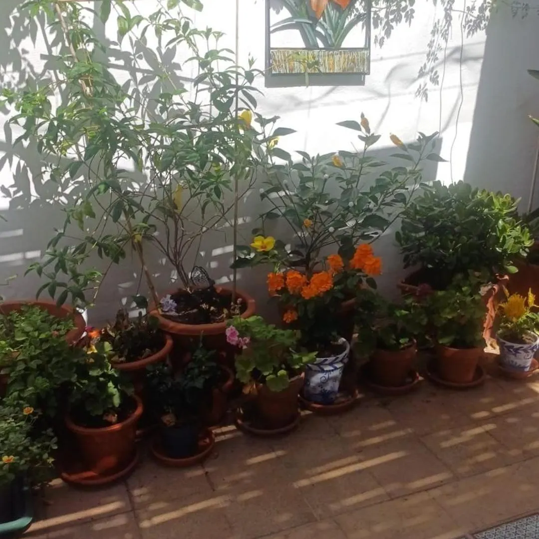 Apartmán Ascent At Alora Màlaga Ubytování v soukromí
